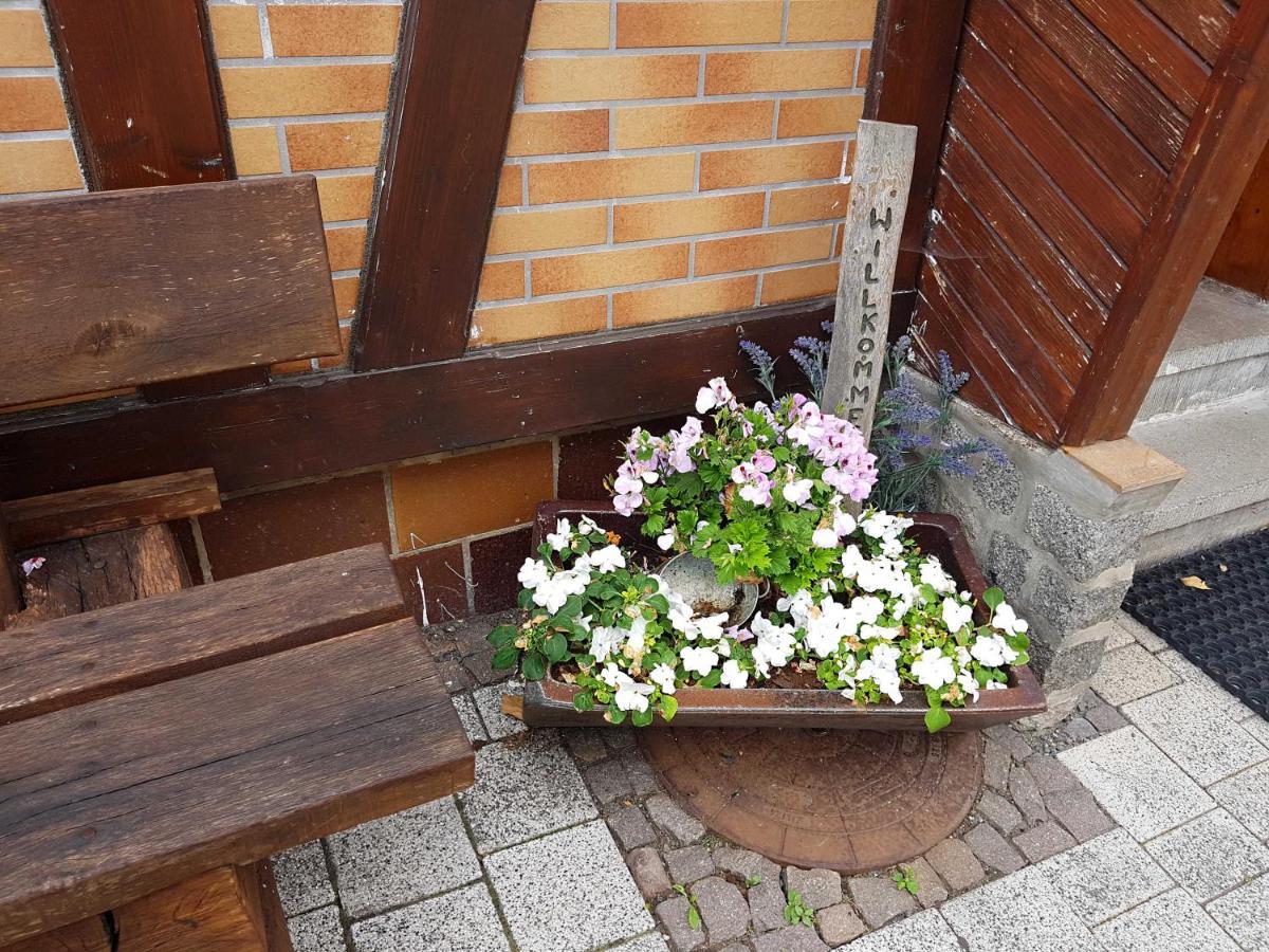 Ferienwohnung Am Kurpark Hasselfelde Bagian luar foto